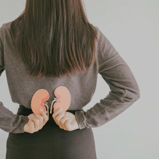 person holding diagram of kidneys on lower back to demonstrate organ placement on human body.
